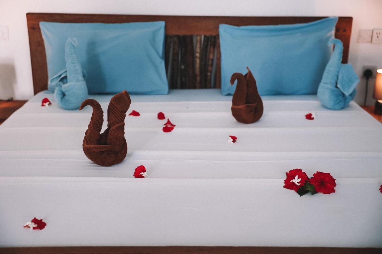 Zima Lodge Nungwi Bagian luar foto