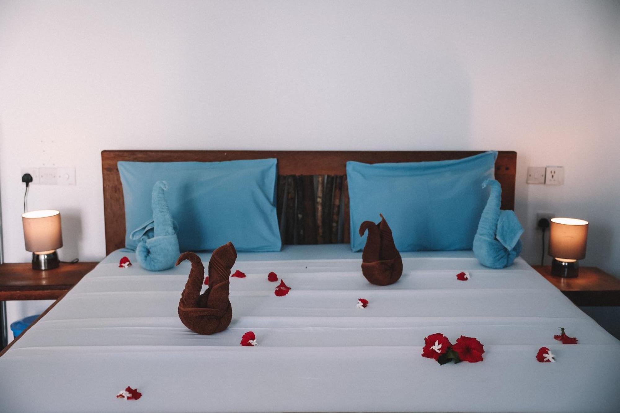Zima Lodge Nungwi Bagian luar foto